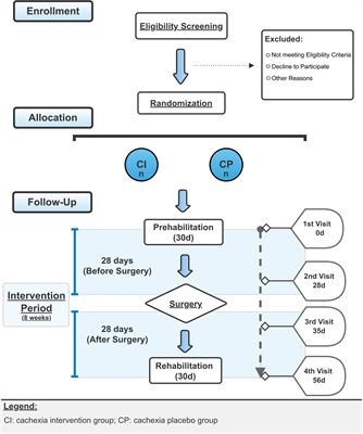 A triple-masked, two-center, randomized parallel clinical trial to assess the superiority of eight weeks of grape seed flour supplementation against placebo for weight loss attenuation during perioperative period in patients with cachexia associated with colorectal cancer: a study protocol